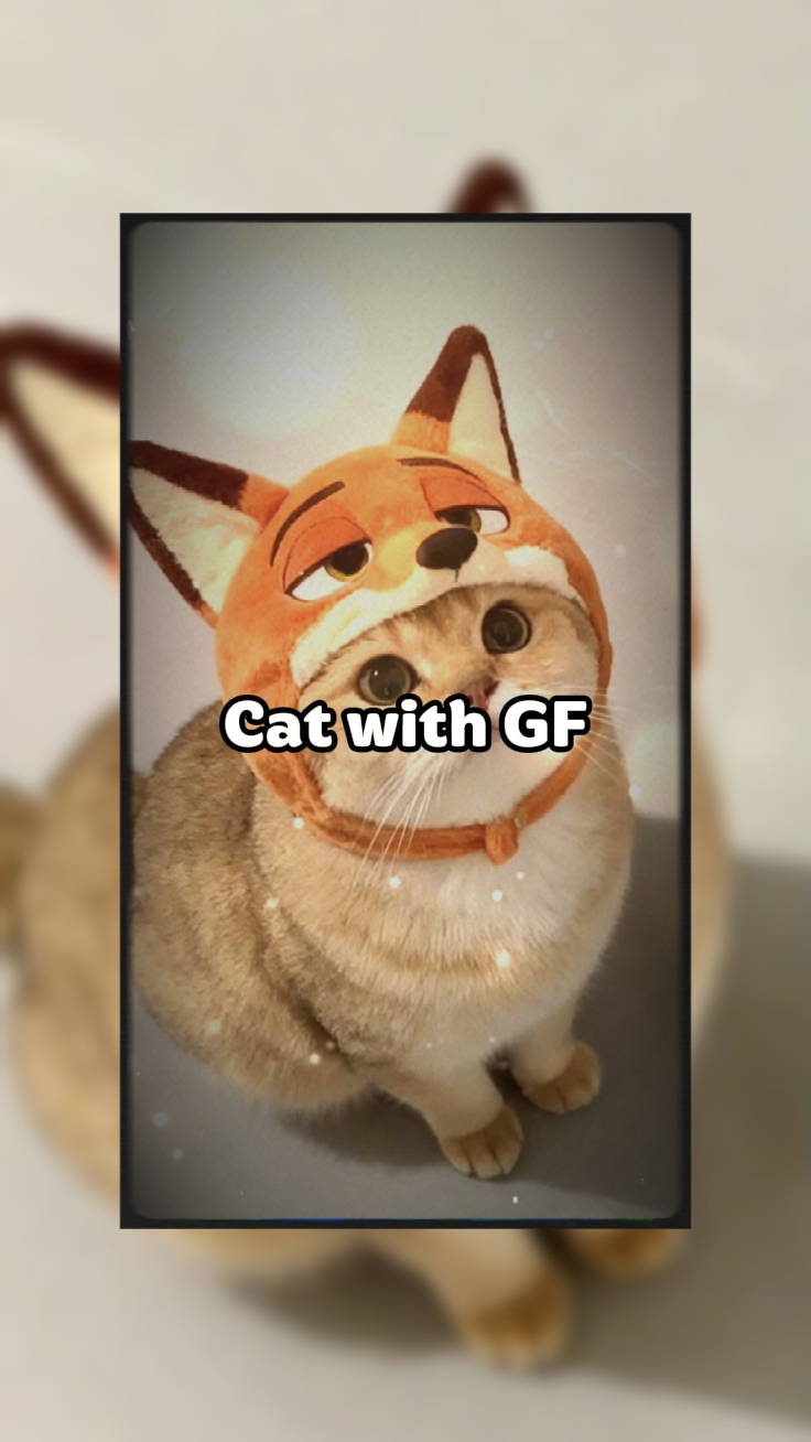 Kedi 