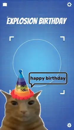 HAPPY BIRTHDAY CAT