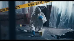 Crime YouTube 7