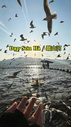 Đạp Sơn Hà / 踏山河