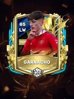 CARD FIFA CAKEP