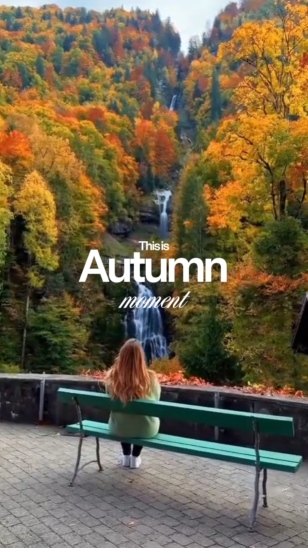 Autumn moment