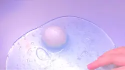 몽글님 공지영상 나눔