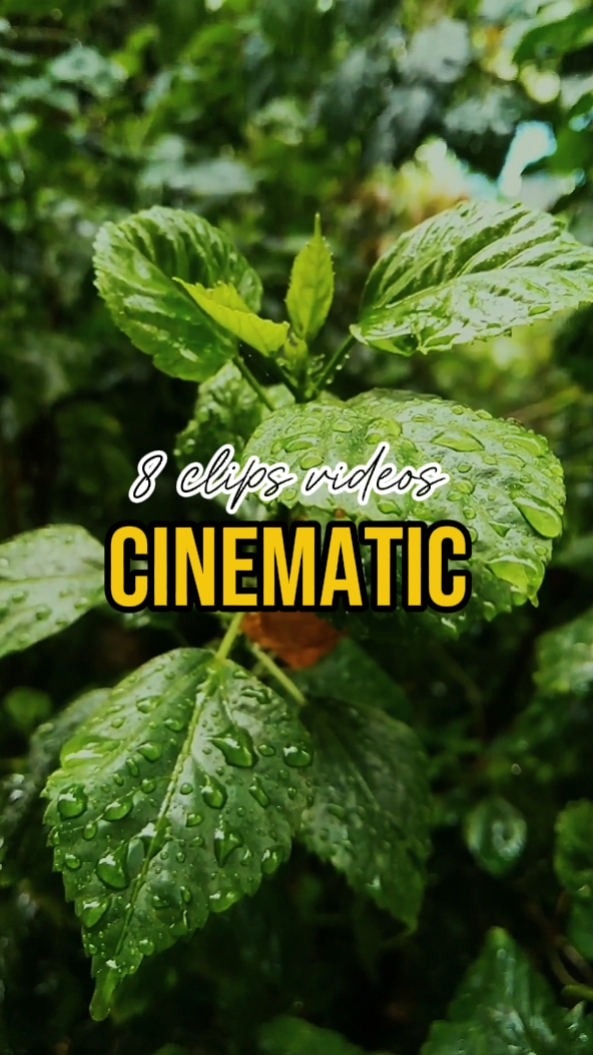 CINEMATIC 8 VIDEOS 