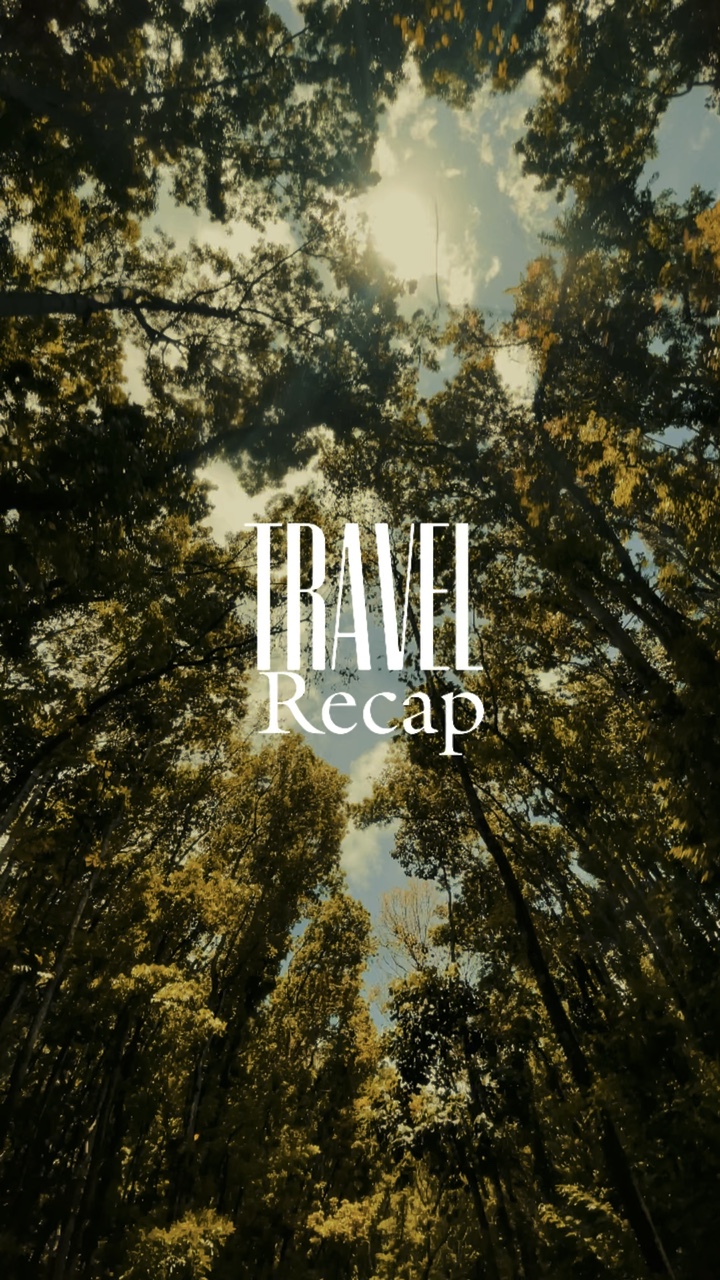 Travel Recap