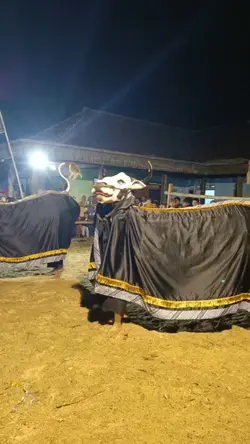 Wayang wayang