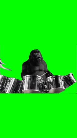 Monkey playing drums