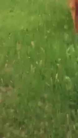 galloping>