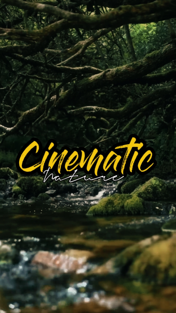 Natureza cinematográfica 