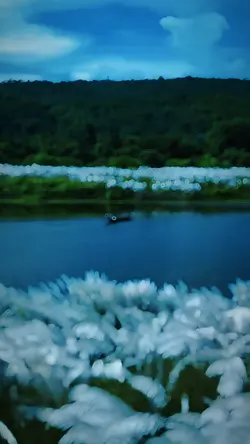 Slowmotion video 🩵✨