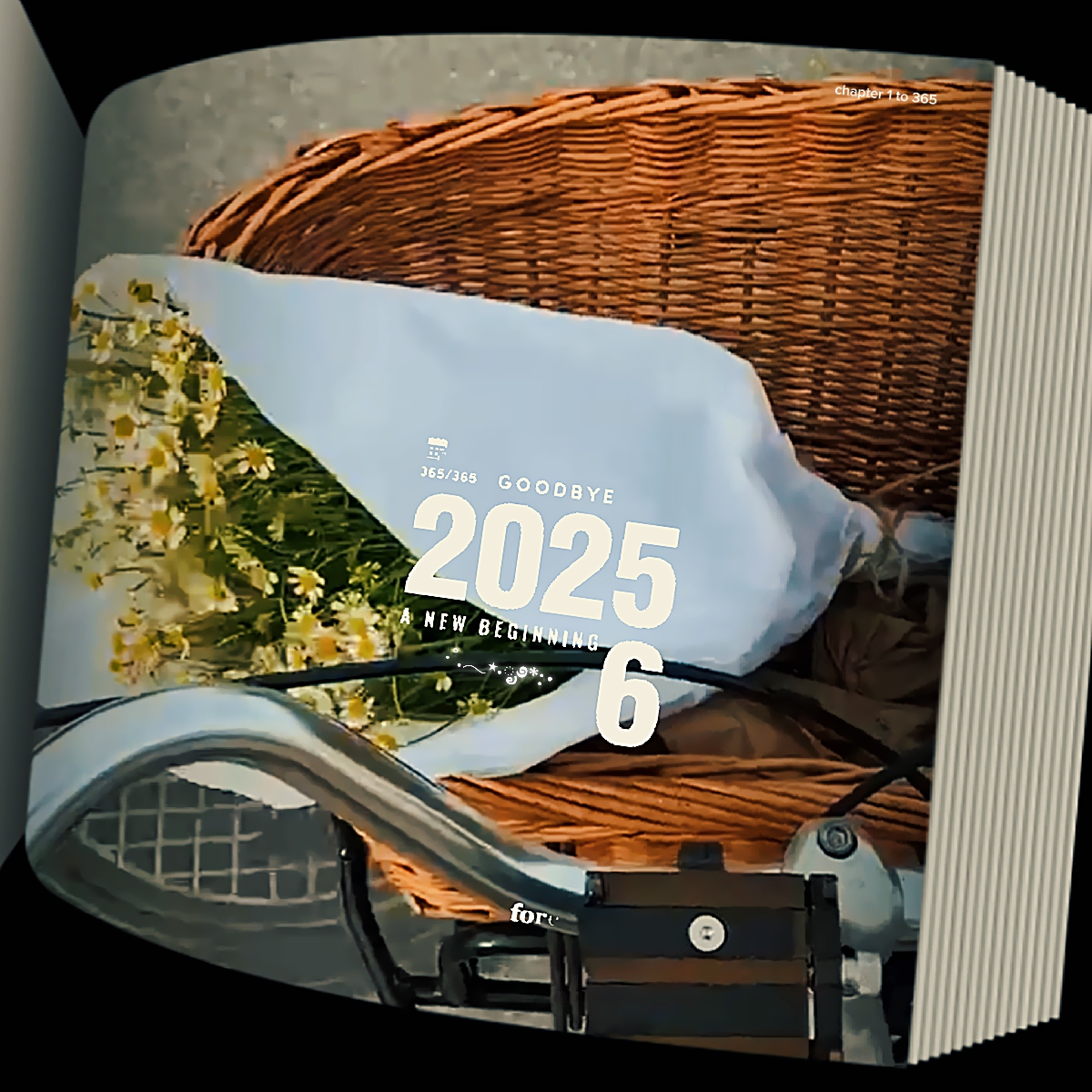Özet 2025