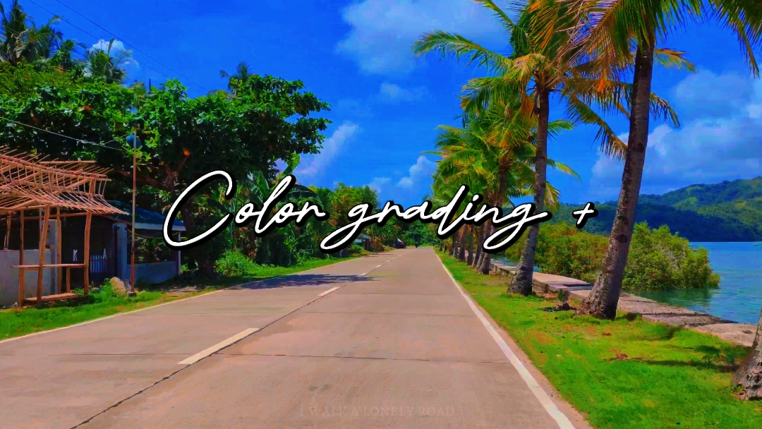 Tingkat warna +