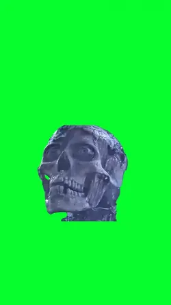 skeleton wake up