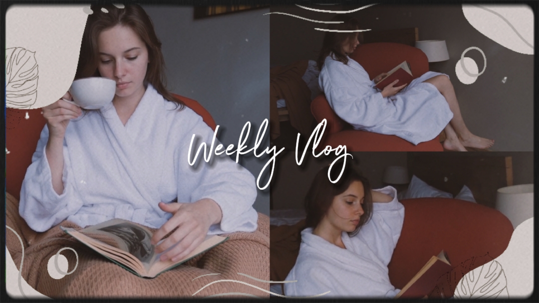 Daily Intro