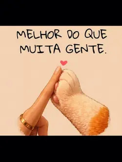 Meu amor