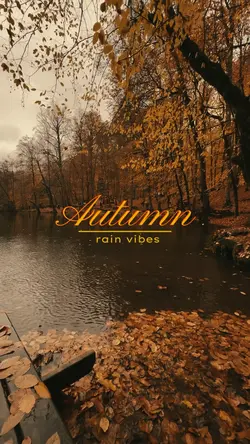 Autumn rain vibes