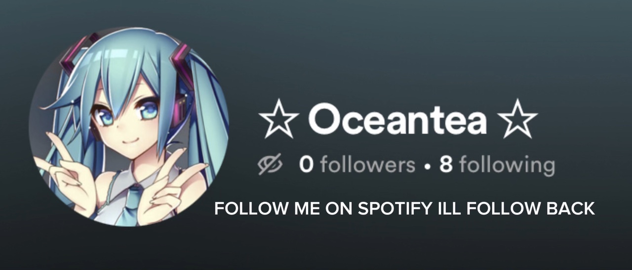 Spotfy ill fllw back