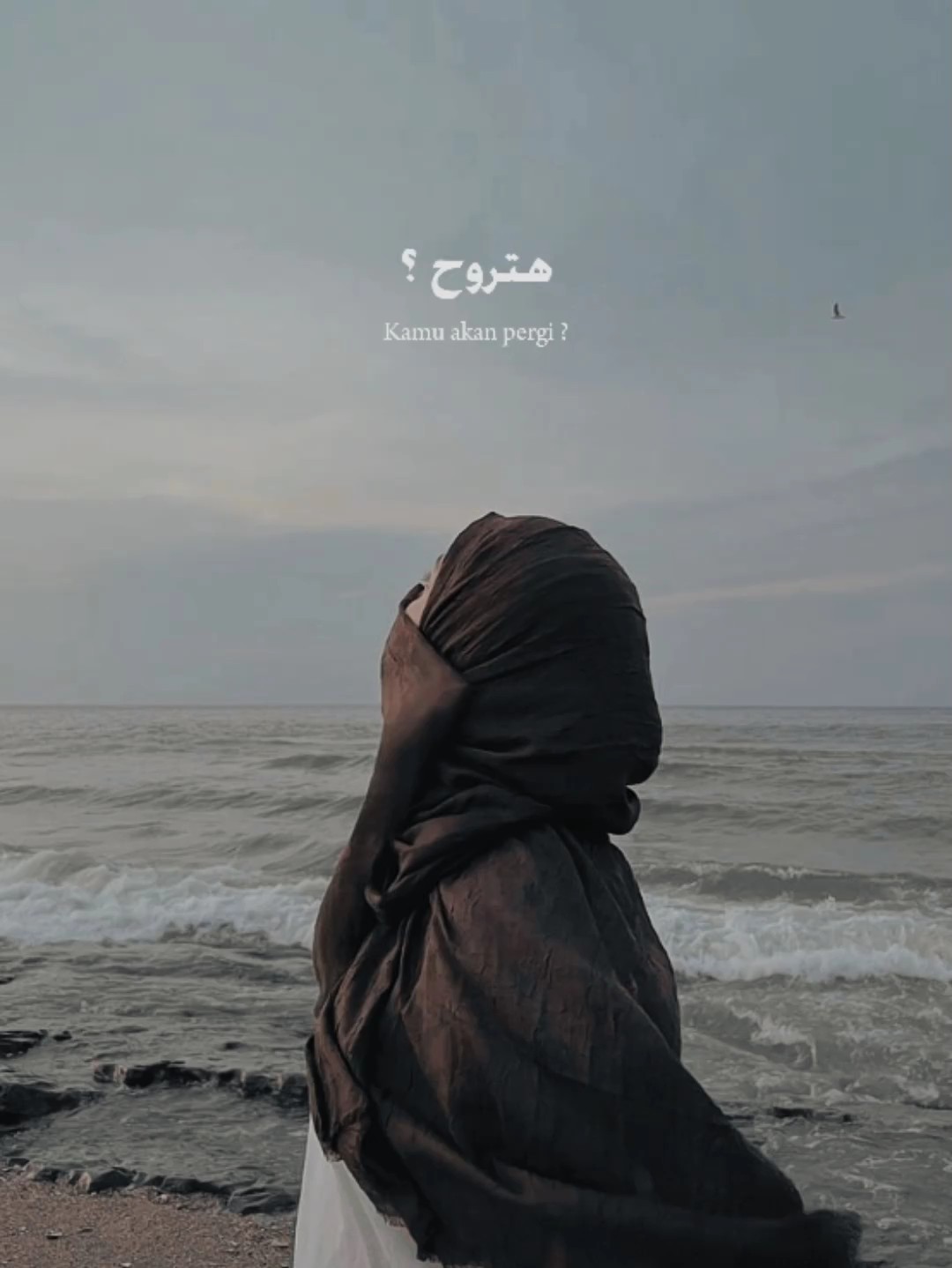 lagu arab 