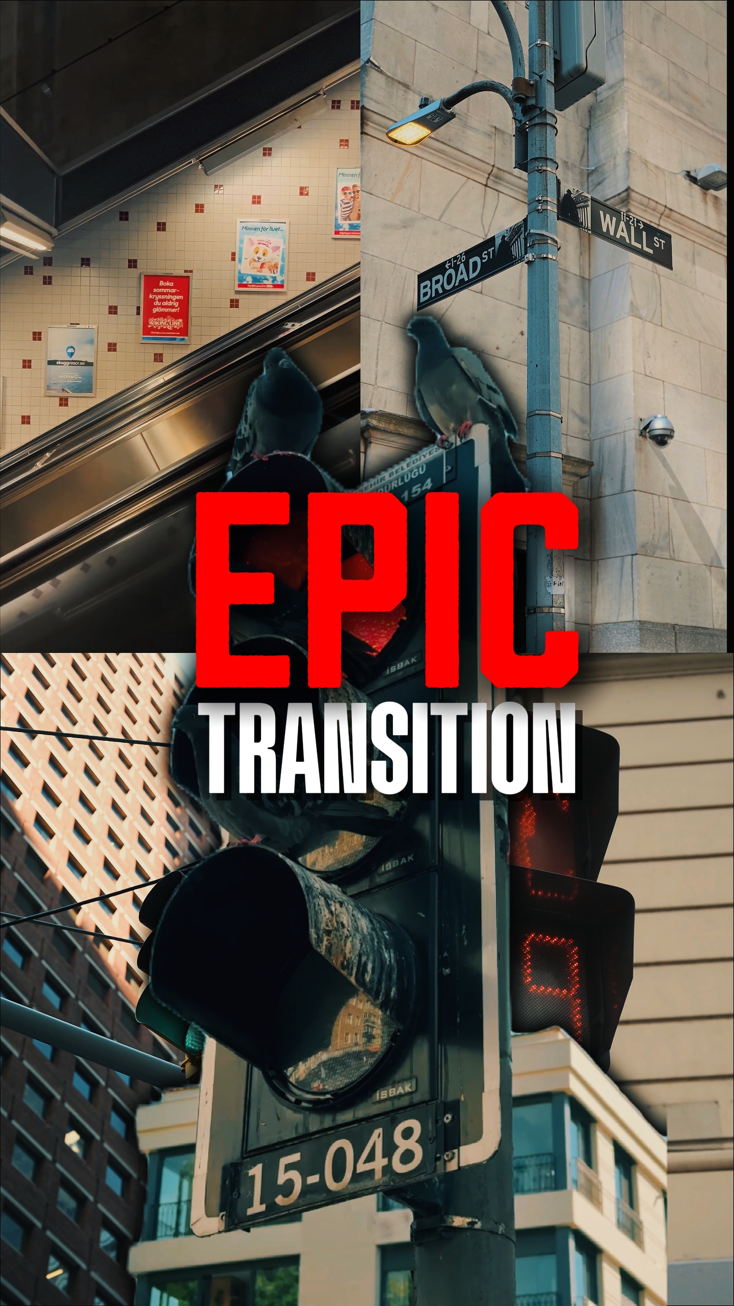 EPIK TRANSITION 