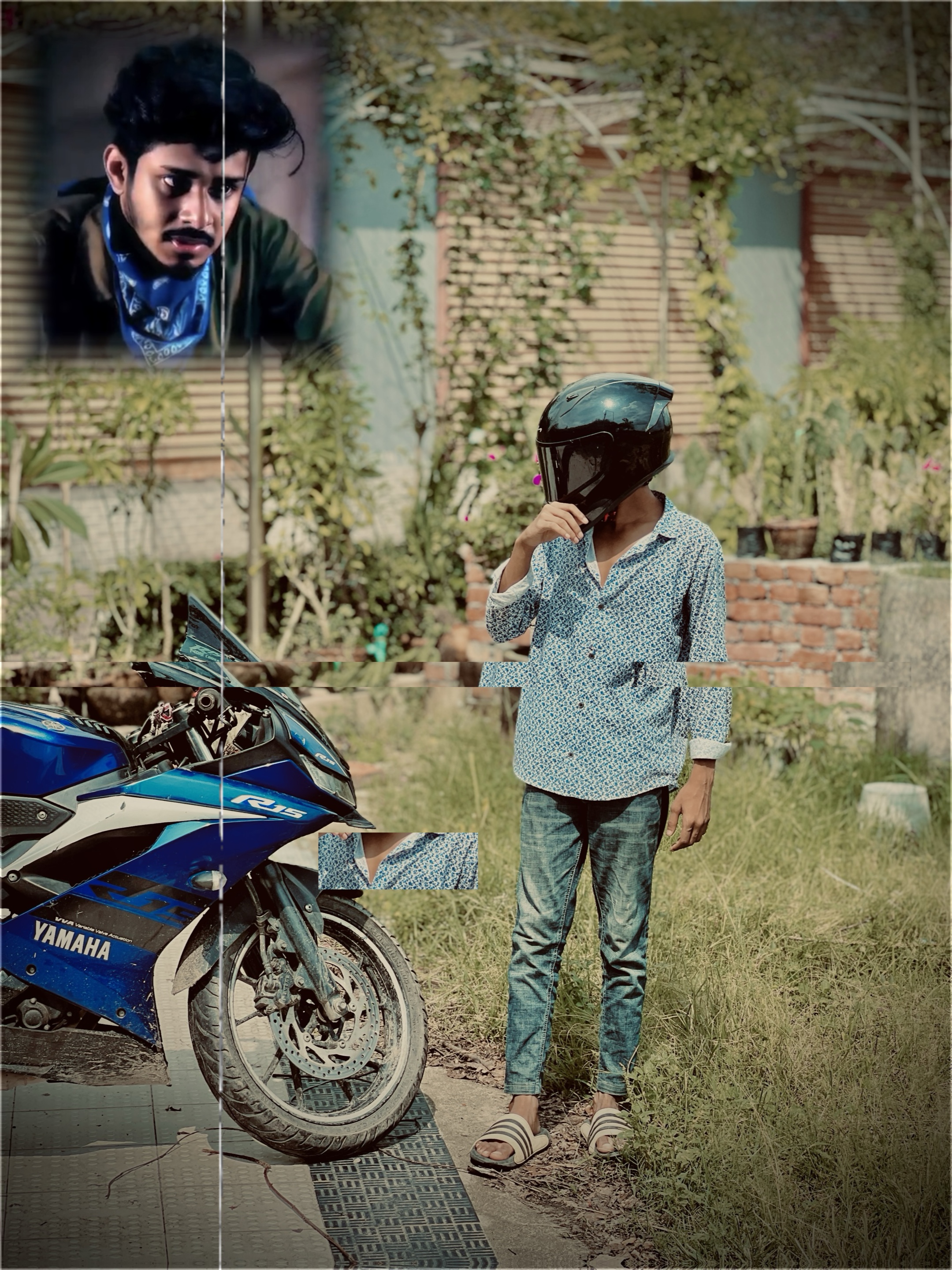 Cover Picture
