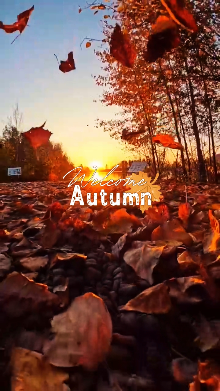 Bienvenido otoño