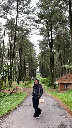 Cinematic hutan alam