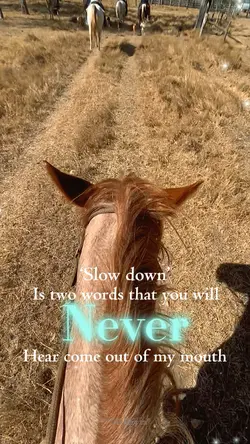 ‘Slow down’