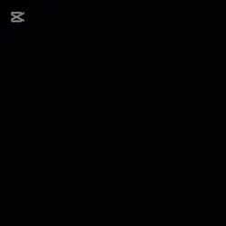 デュエ用