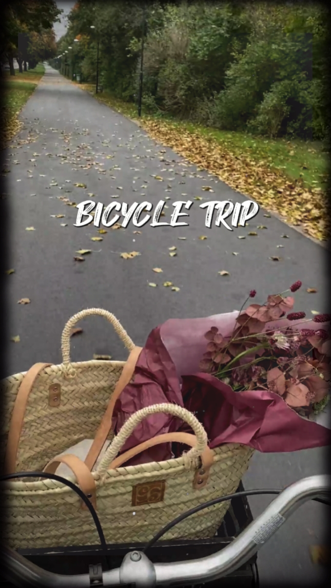 Vlog Bicyle Trip