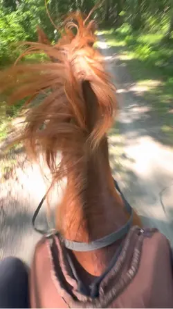 GEH AUSREITEN!!