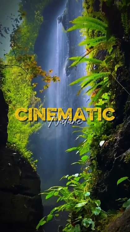 NATURE CINÉMATIQUE