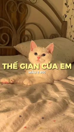 THẾ GIAN CỦA EM