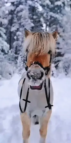 Snow is stunning