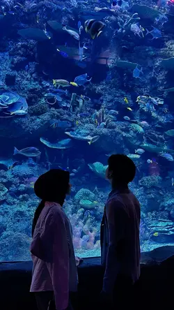 Aquarium date