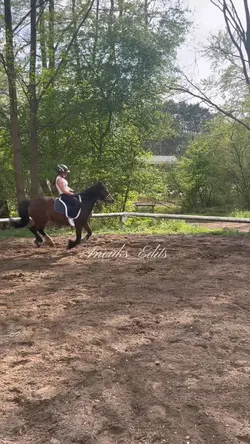 Horse back riding 