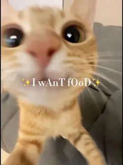 ✨I want food✨