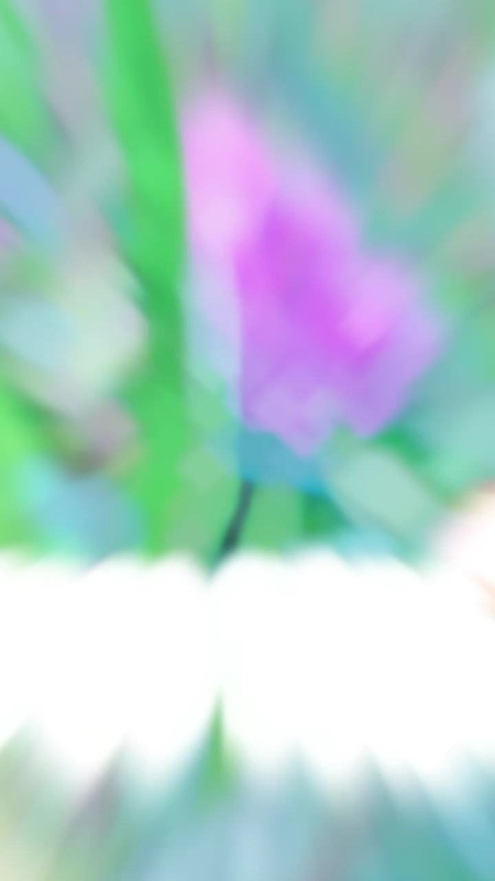 2รูปเพลงม้ง