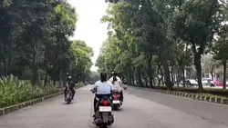 Video Landscape
