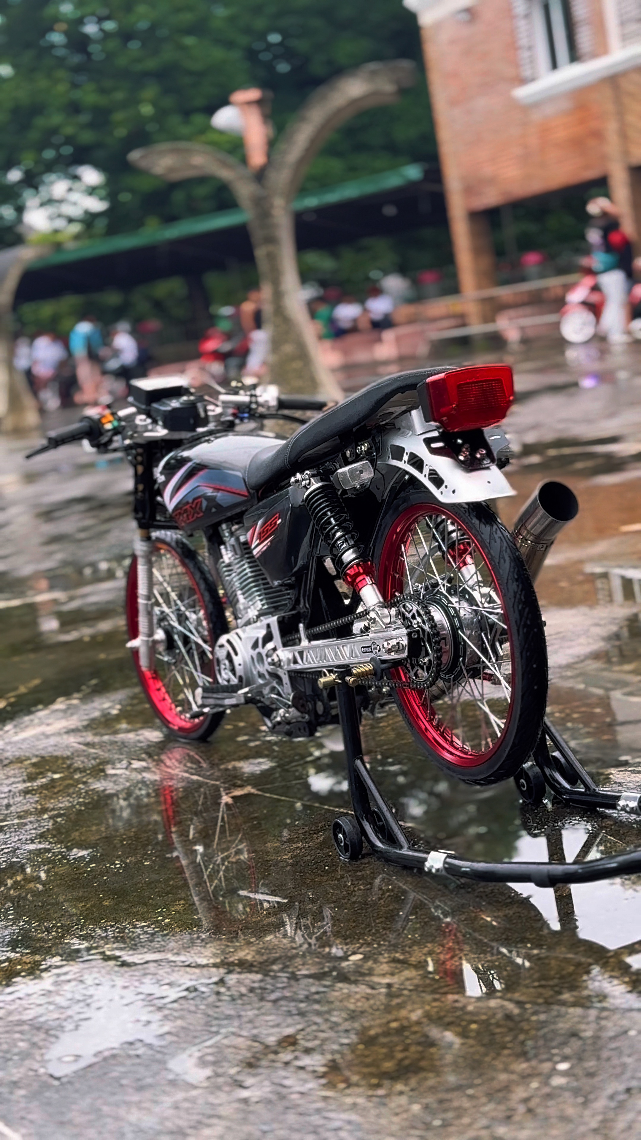 Cover Picture