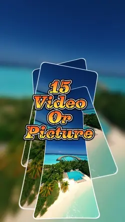 15 video or picture 