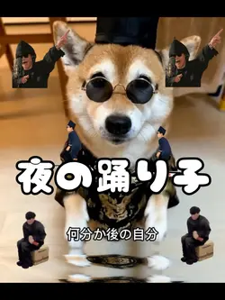 夜の踊り子