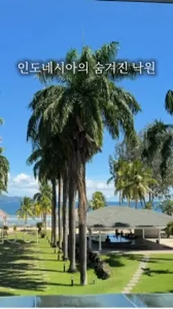 여행 정보 릴스