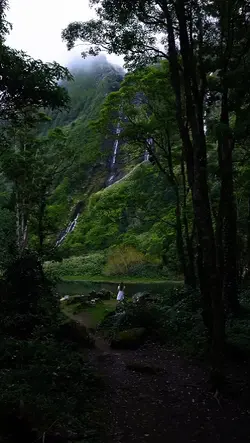 landscape 1 clips 