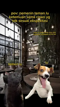 kucing anjing viral