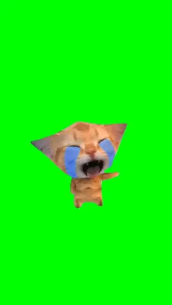 Sad Crying Cat Meme