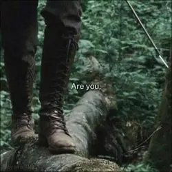 hanging tree