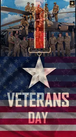 Veterans Day USA
