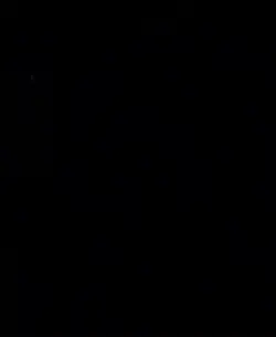 Dirty dancing period