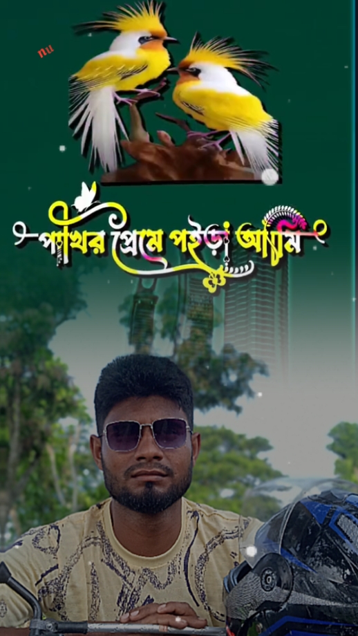 পাখির প্রেমে হয়েছি 