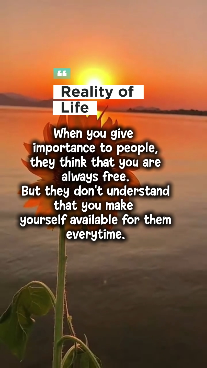 Realidade da vida